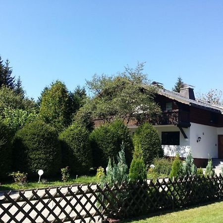 Schwarzwald - Villa Appartments Titisee Εξωτερικό φωτογραφία