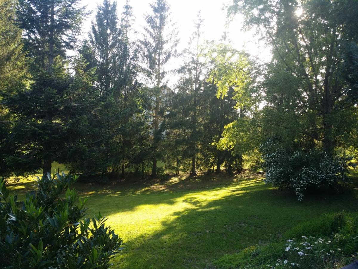 Schwarzwald - Villa Appartments Titisee Εξωτερικό φωτογραφία