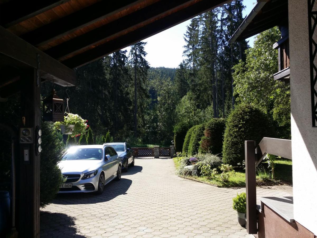 Schwarzwald - Villa Appartments Titisee Εξωτερικό φωτογραφία