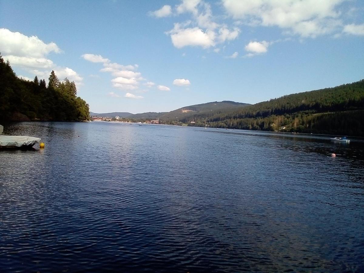 Schwarzwald - Villa Appartments Titisee Εξωτερικό φωτογραφία