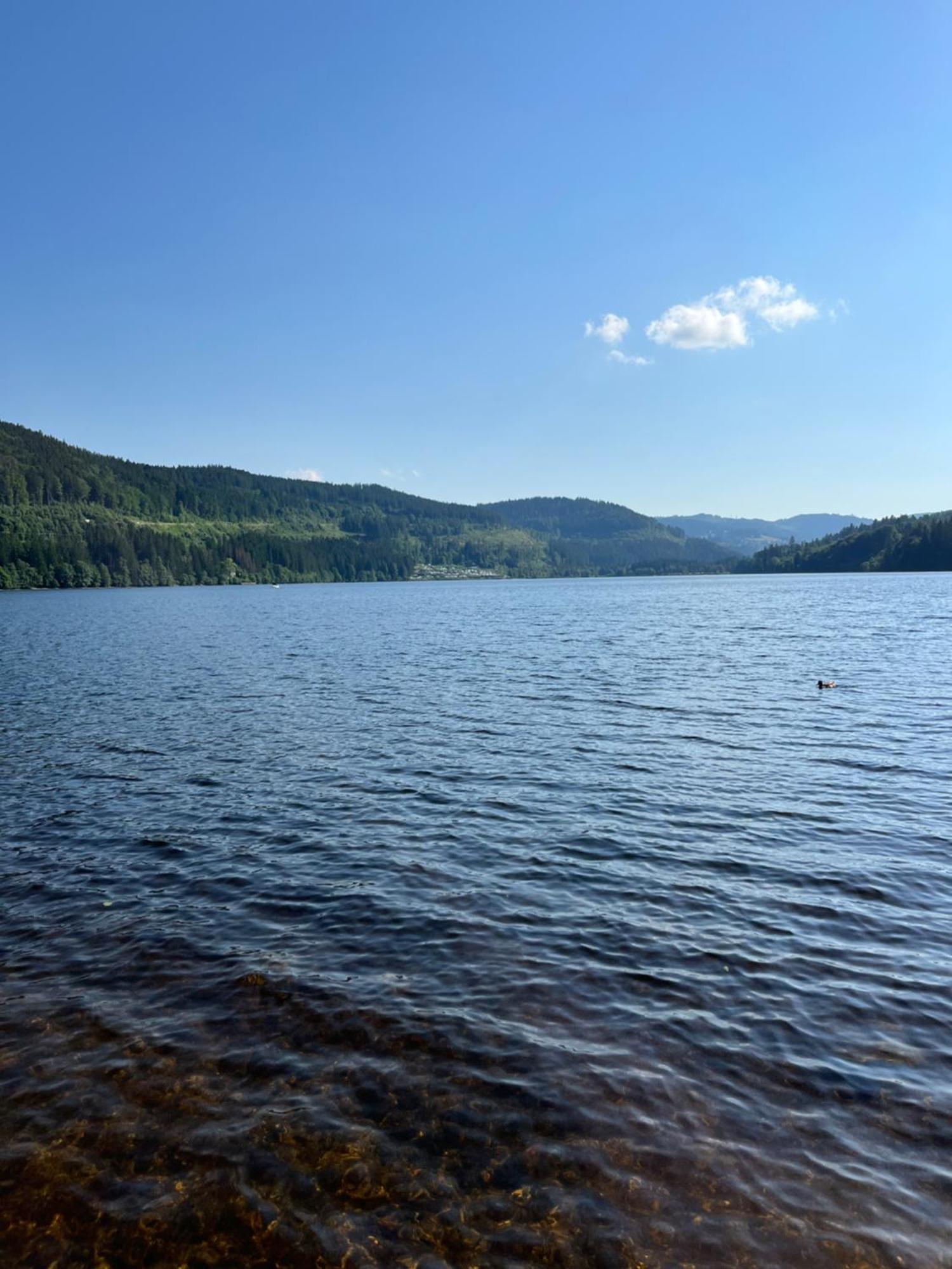 Schwarzwald - Villa Appartments Titisee Εξωτερικό φωτογραφία