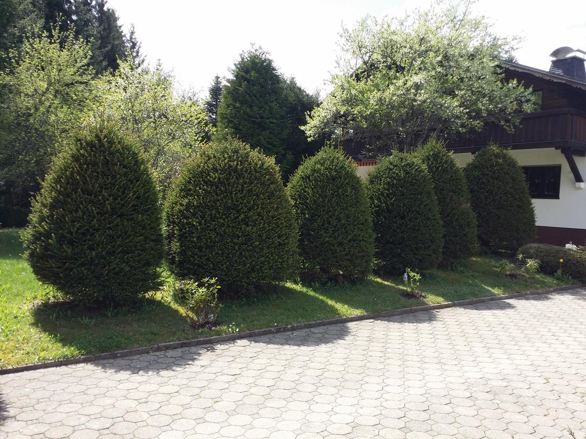 Schwarzwald - Villa Appartments Titisee Εξωτερικό φωτογραφία