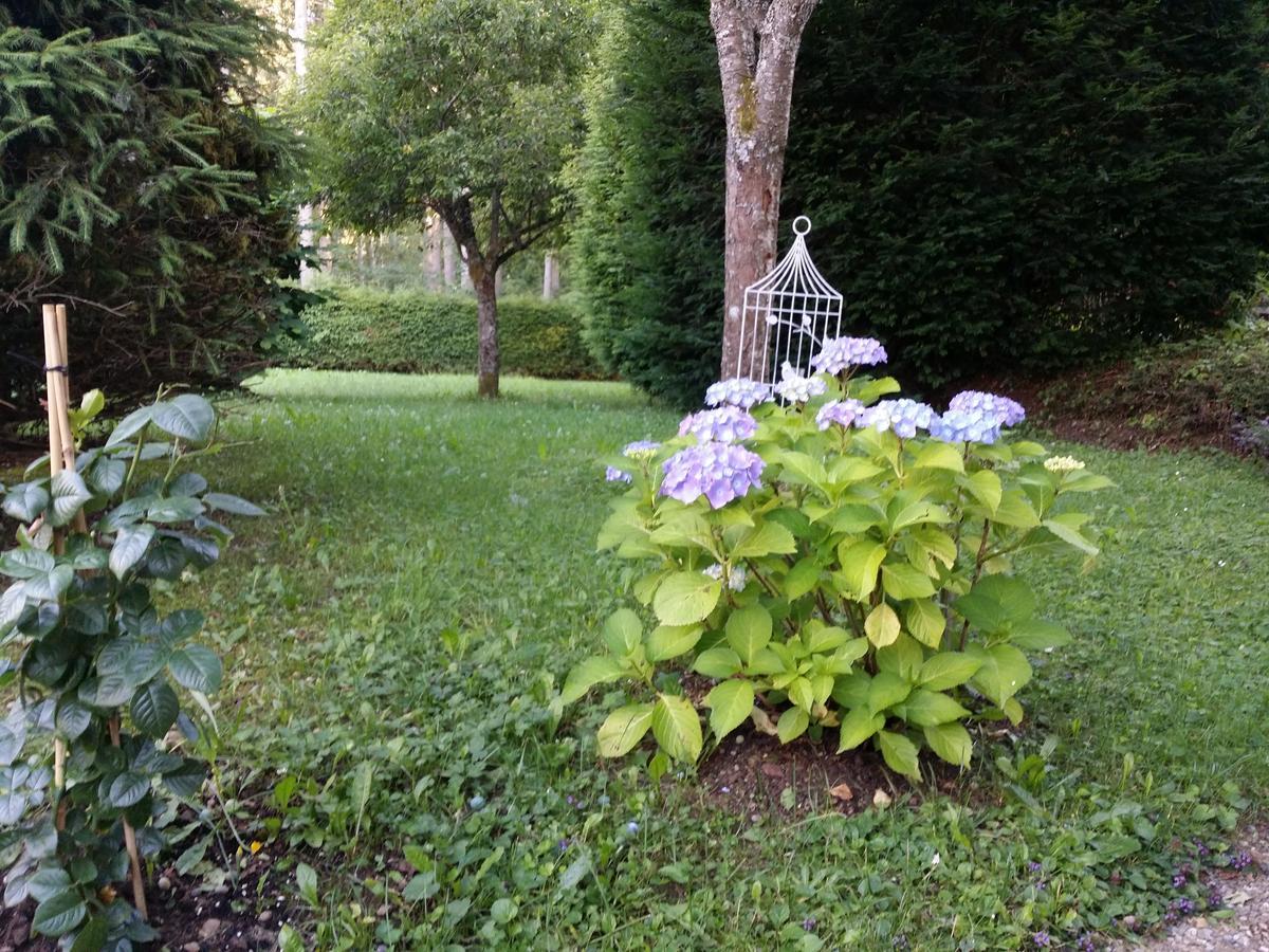 Schwarzwald - Villa Appartments Titisee Εξωτερικό φωτογραφία