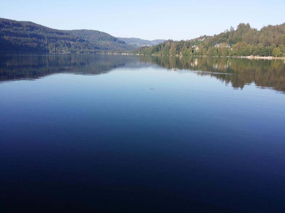 Schwarzwald - Villa Appartments Titisee Εξωτερικό φωτογραφία