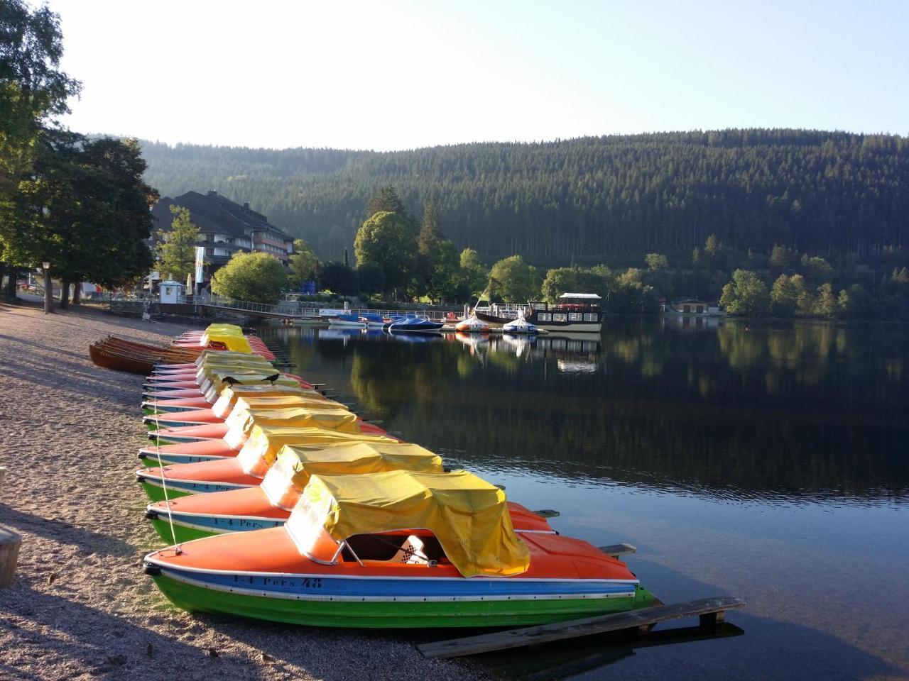 Schwarzwald - Villa Appartments Titisee Εξωτερικό φωτογραφία