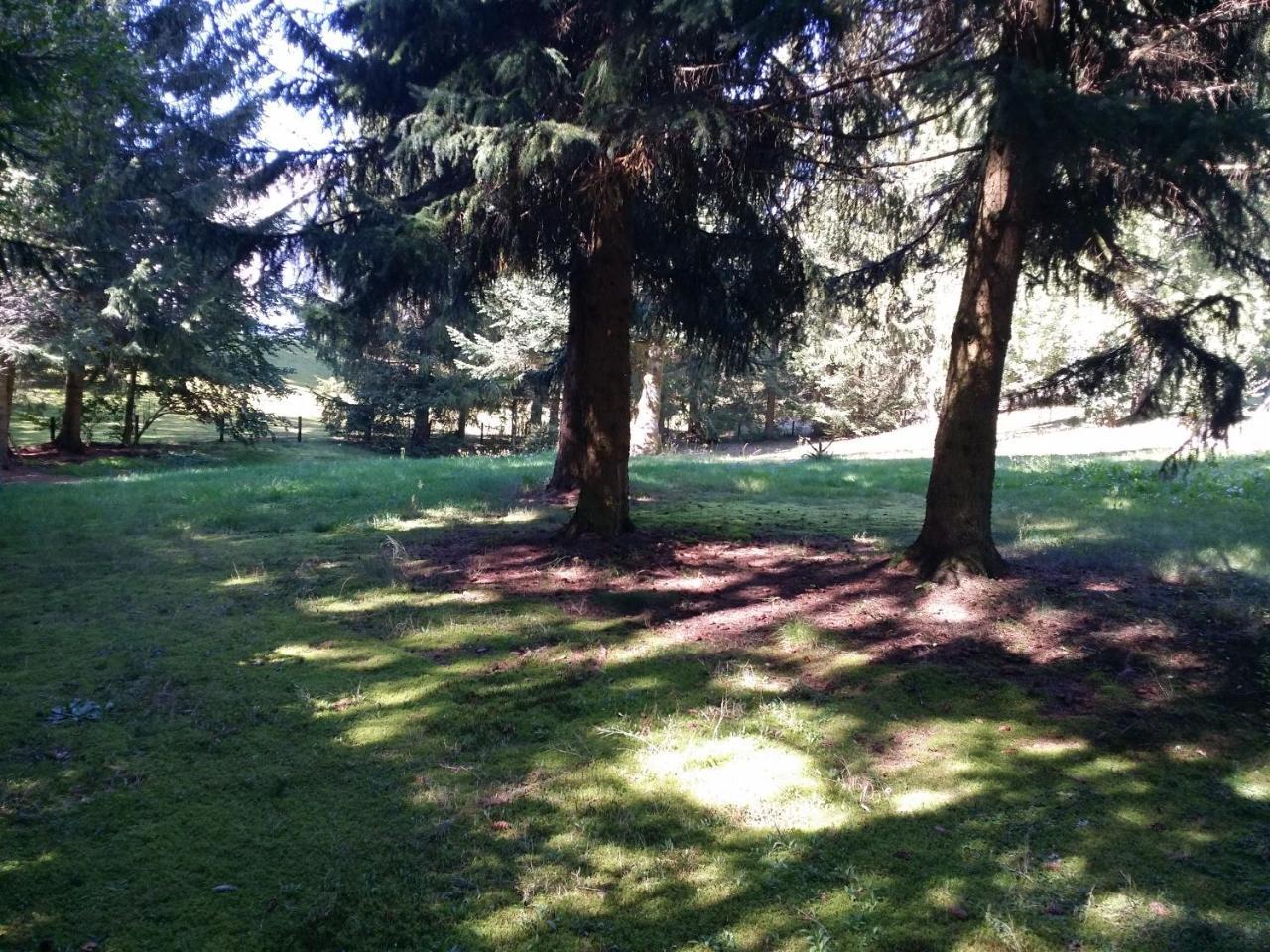 Schwarzwald - Villa Appartments Titisee Εξωτερικό φωτογραφία